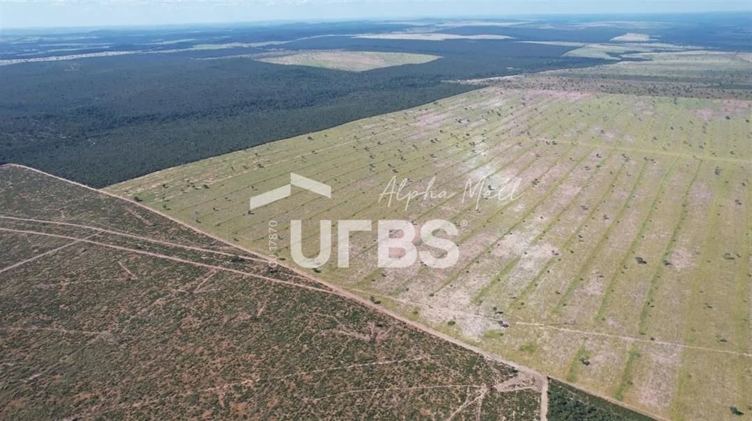 Fazenda completa em Paranatinga com 4.532 hectares — estrutura pronta - Imagem 1