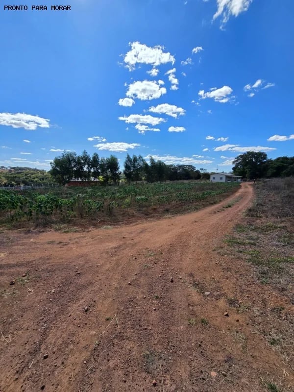 Sítio para Venda em Hidrolândia, Área Rural de Hidrolândia - Imagem 1